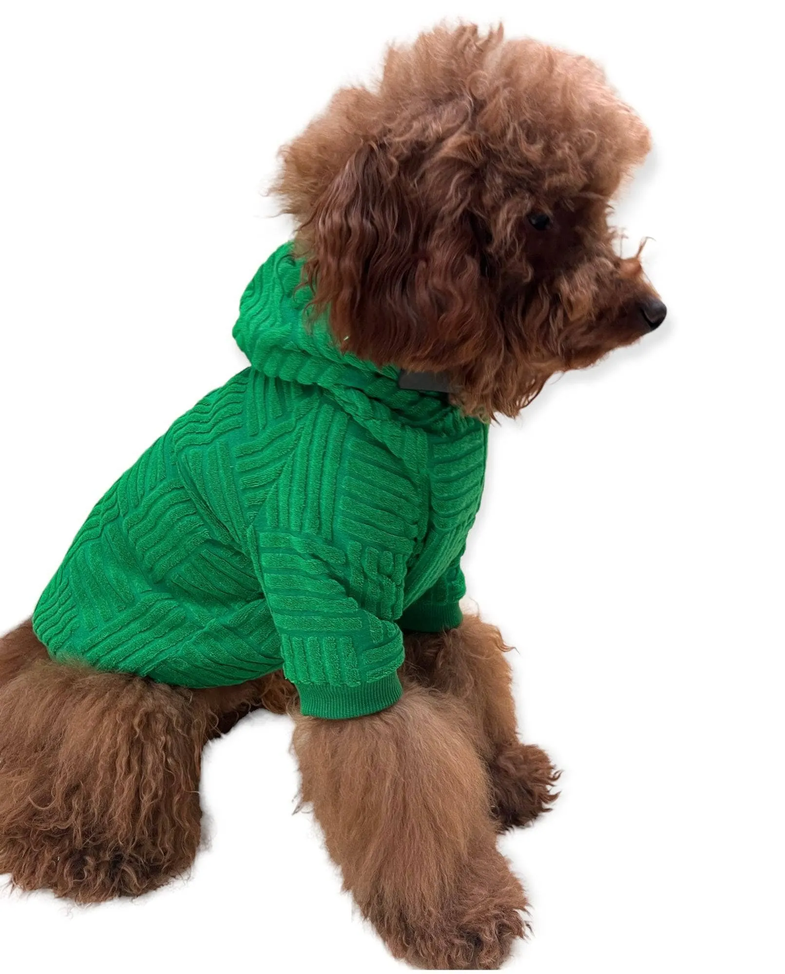 Fashionista Pup Emerald Hoodie