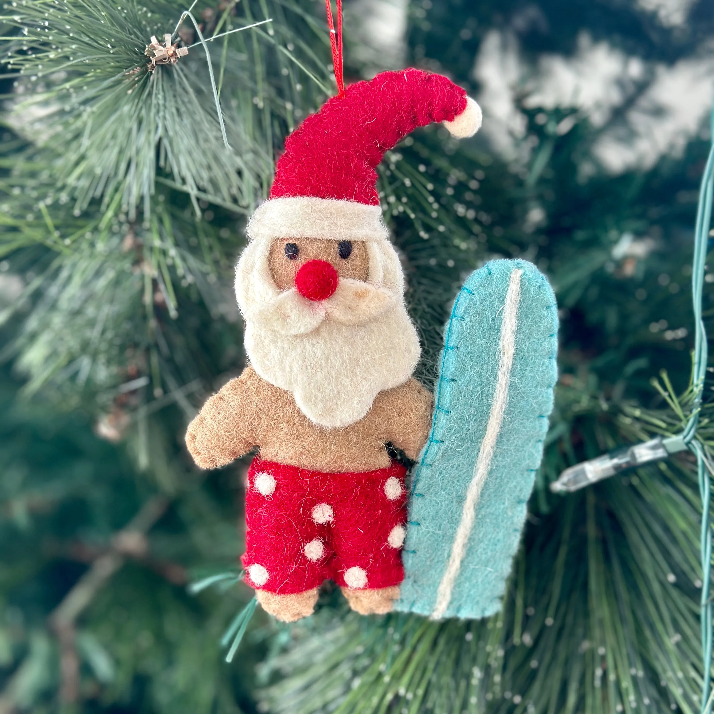 Santa with Surfboard